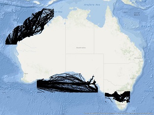 Vessel Traffic Data sub-areas July  2017