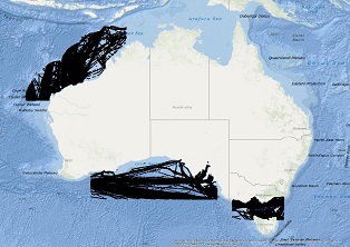 Vessel Traffic Data sub-areas January 2021