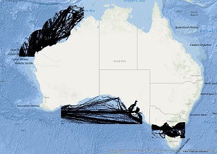 Vessel Traffic Data sub-areas November 2022