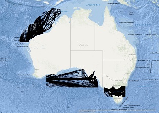 Vessel Traffic Data sub-areas January 2023