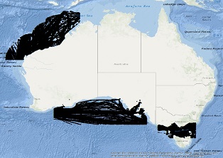 Vessel Traffic Data sub-areas August 2021