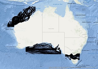 Vessel Traffic Data sub-areas August 2022