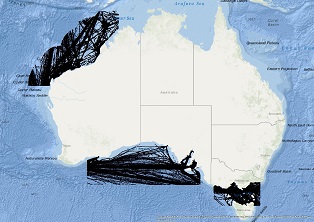 Vessel Traffic Data sub-areas June 2023