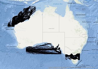 Vessel Traffic Data sub-areas November 2023