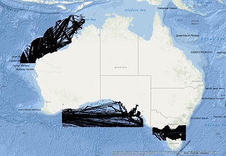 Vessel Traffic Data sub-areas January 2024