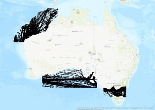 Vessel Traffic Data Sub-areas May 2024