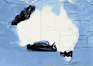 Vessel Traffic Data Sub-areas June 2024