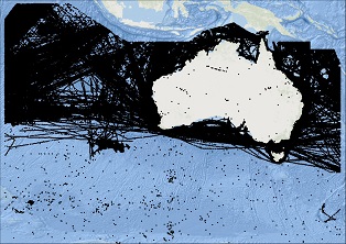 Vessel Traffic Data August 2024