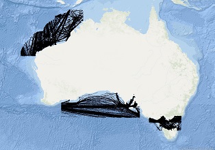 Vessel Traffic Data Sub-areas September 2024