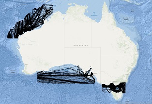Vessel Traffic Data Sub-areas November 2024