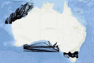 Vessel Traffic Data Sub-areas December 2024