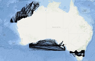 Vessel Traffic Data Sub-areas June 2025
